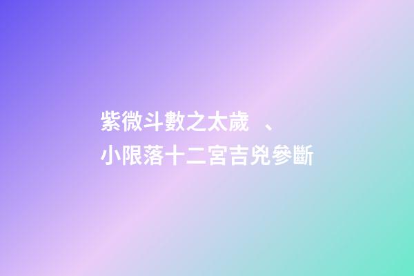 紫微斗數之太歲、小限落十二宮吉兇參斷